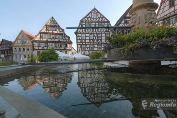 Schlosshotel Hoefingen Leonberg Exterior photo